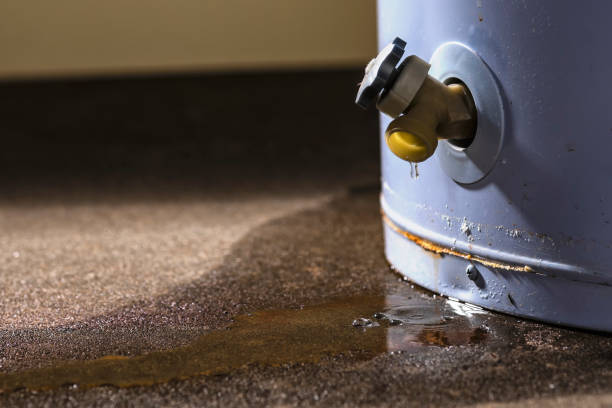 Best Basement water damage restoration  in Elma Center, NY