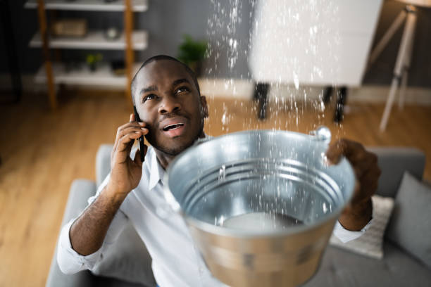 Best Water damage restoration cost  in Elma Center, NY