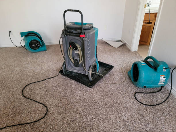 Best 24/7 water damage repair  in Elma Center, NY