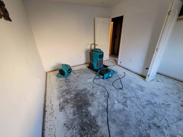 Best Local water damage restoration  in Elma Center, NY