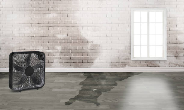  Elma Center, NY Water damage restoration Pros