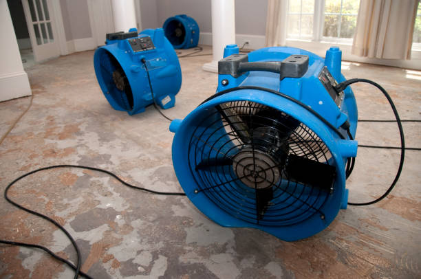 Best Mold removal after water damage  in Elma Center, NY