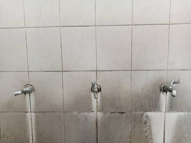Trusted Elma Center, NY Water damage restoration Experts