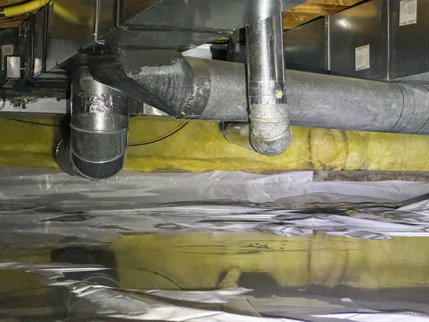 Best Flood restoration services  in Elma Center, NY