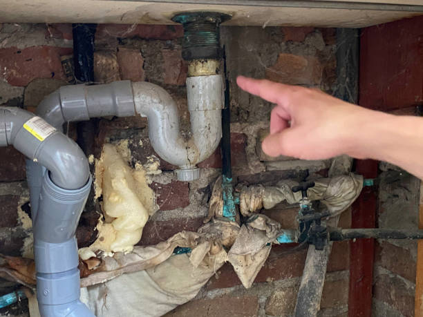 Best Water damage mitigation services  in Elma Center, NY